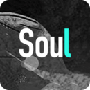 soul软件