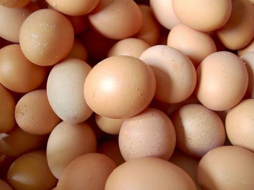 带壳煮熟鸡蛋能放几天（带壳煮熟的鸡蛋能放多久）