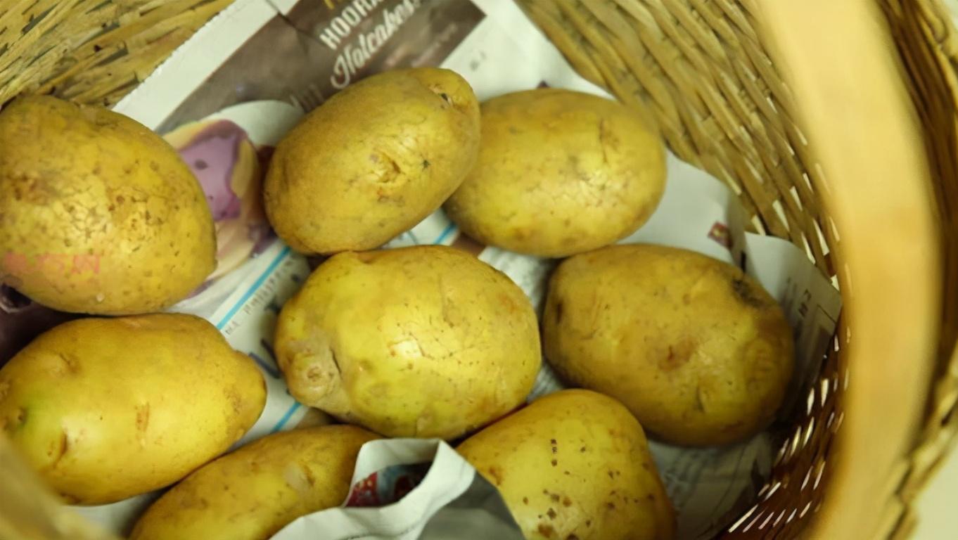 土豆可以放冰箱冷藏保存吗（土豆如何长时间存放）