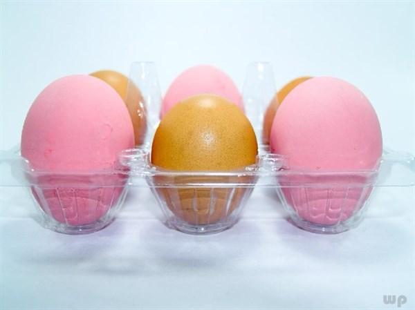 胆固醇高可以吃鸡蛋吗（胆固醇高不能吃鸡蛋么）